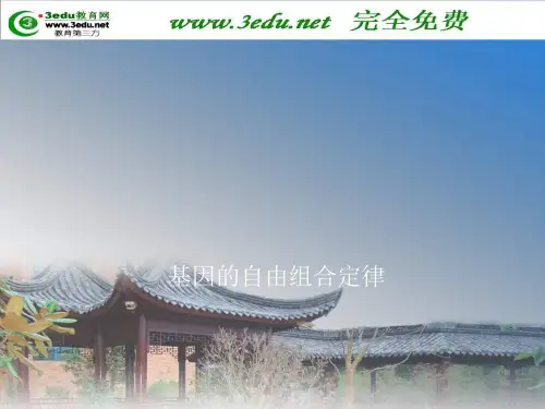 高一生物复习：自由组合定律和伴性遗传