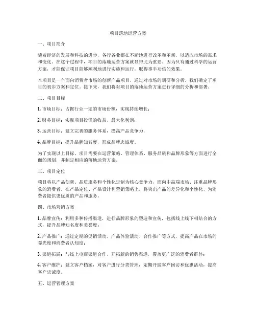 项目落地运营方案