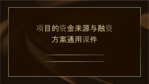 项目的资金来源与融资方案通用课件