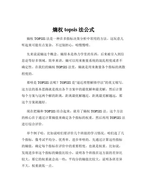 熵权topsis法公式