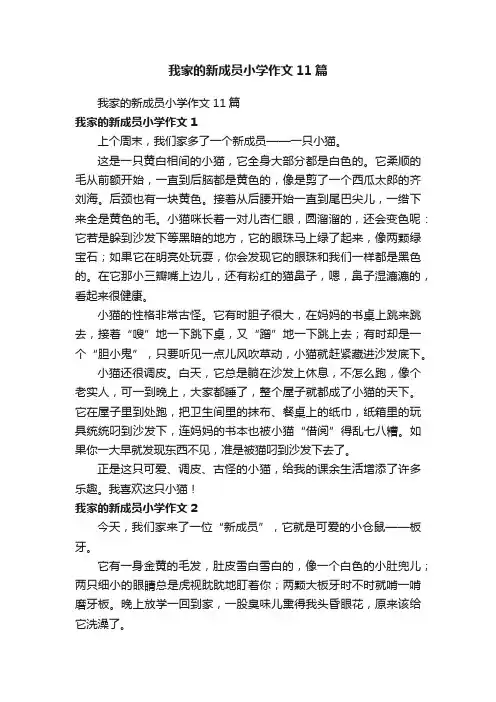 我家的新成员小学作文11篇