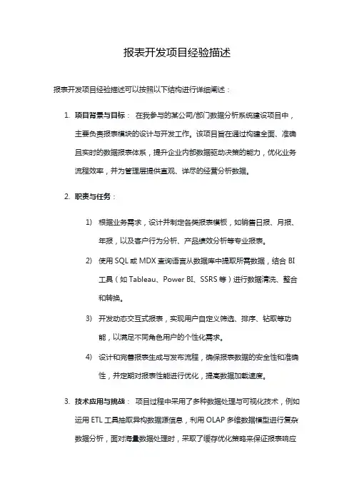 报表开发项目经验描述