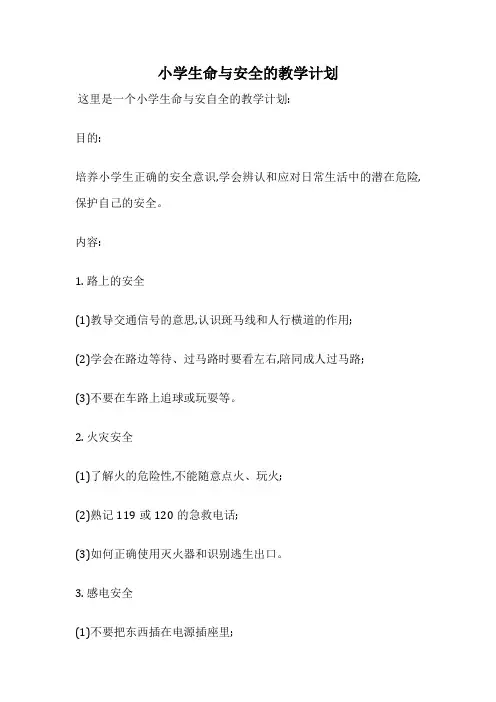 小学生命与安全的教学计划