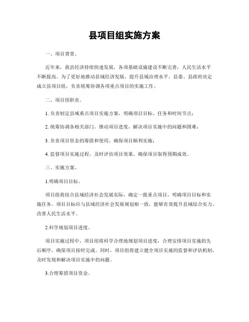 县项目组实施方案