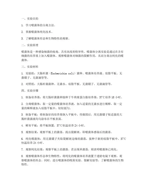 噬菌体分离实验报告
