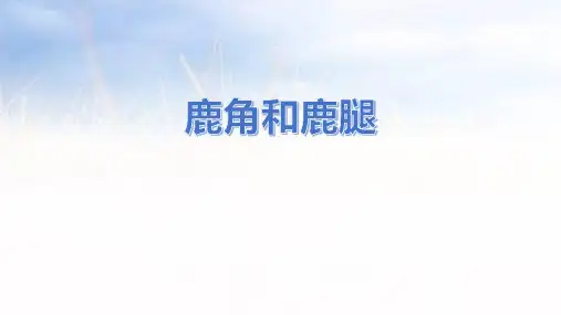 部编版三年级语文下册7《鹿角和鹿腿》课件(共21张PPT)