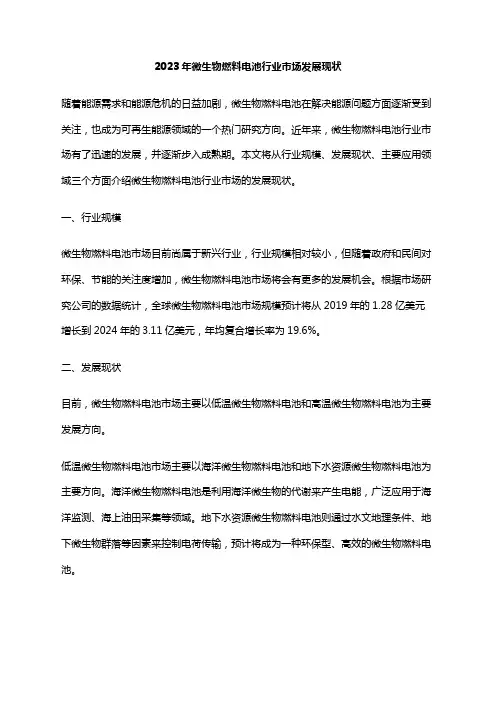 2023年微生物燃料电池行业市场发展现状