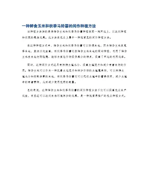 一种鲜食玉米和秋季马铃薯的间作种植方法