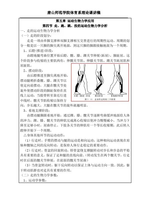 08级运动生物力学讲稿(第五章 5)