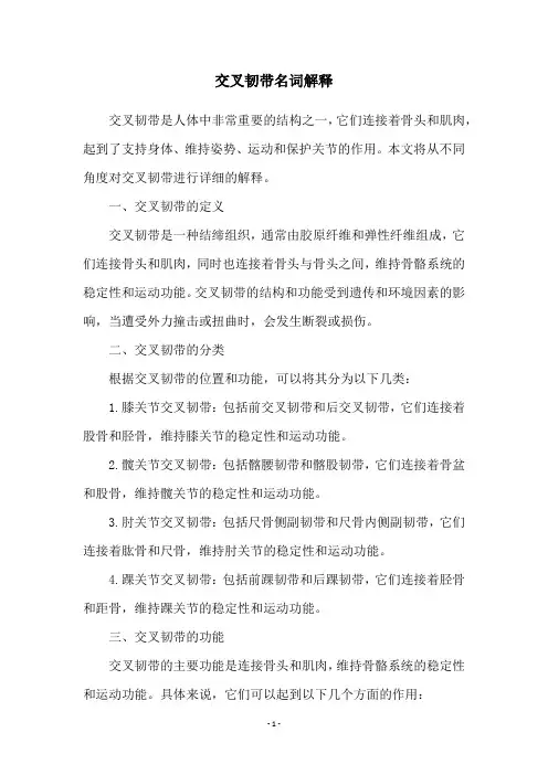交叉韧带名词解释