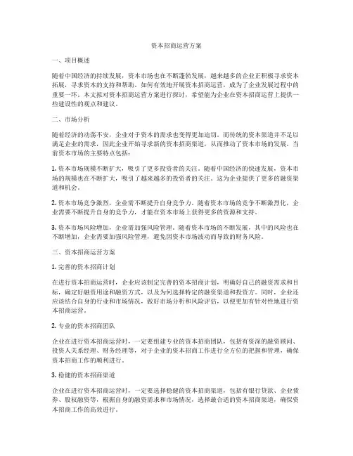 资本招商运营方案