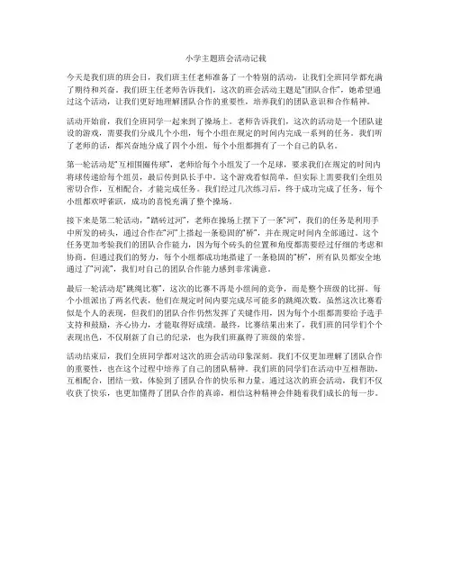 小学主题班会活动记载