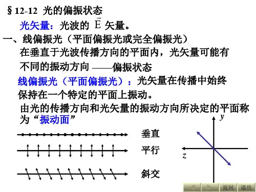 光的偏振状态概述