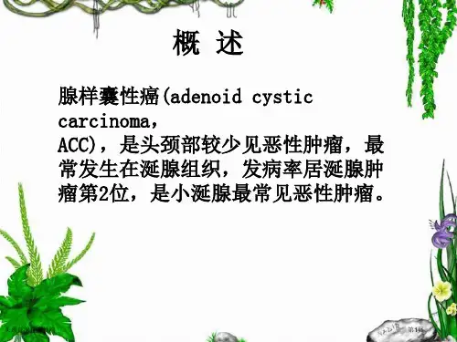 头颈部腺样囊性癌