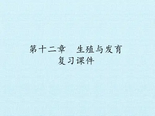 生殖与发育 复习课件-课件ppt