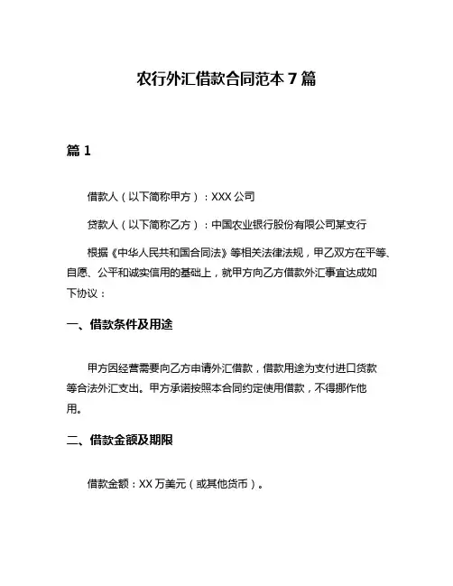 农行外汇借款合同范本7篇