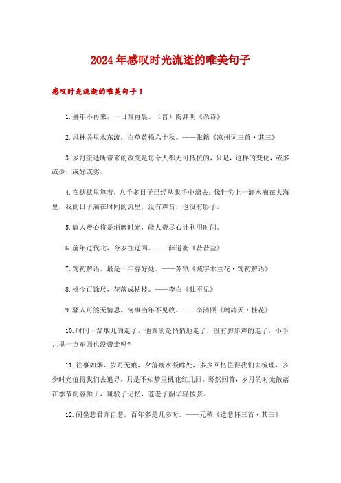 2024年感叹时光流逝的唯美句子 _1
