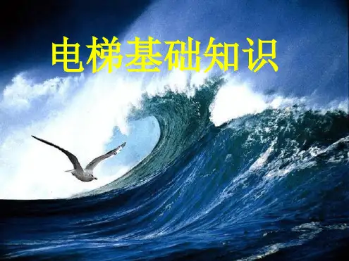 完整版电梯结构及原理图解