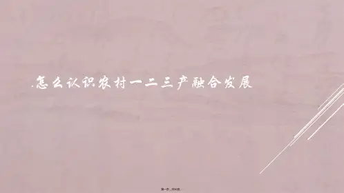 毕节农村一二三产融合发展现状分析和发展思考