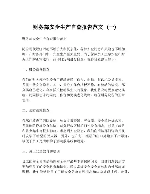 财务部安全生产自查报告范文 (一)