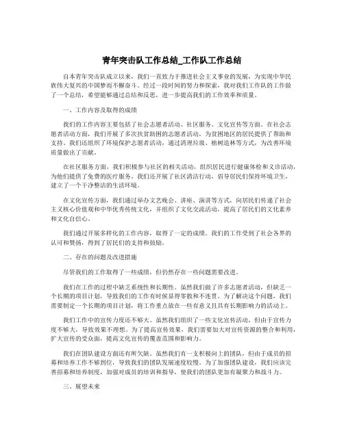 青年突击队工作总结_工作队工作总结