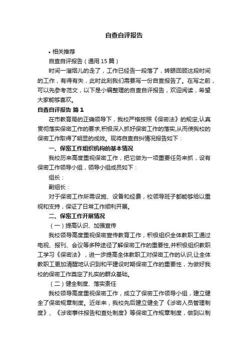 自查自评报告