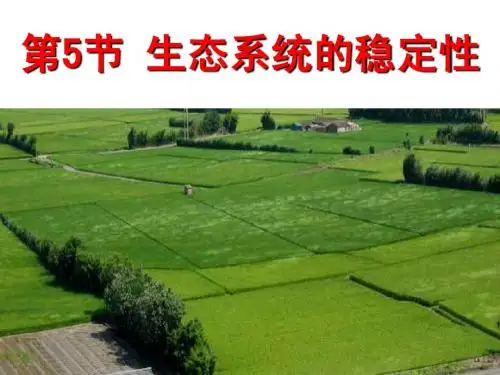 3.5.5生态系统的稳定性