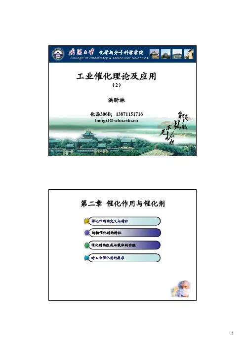 工业催化课件2