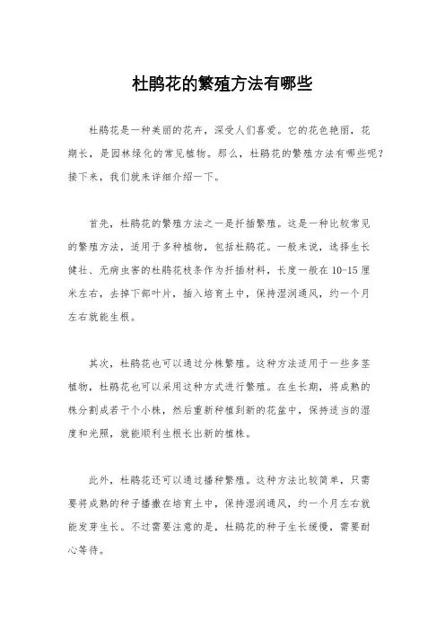 杜鹃花的繁殖方法有哪些