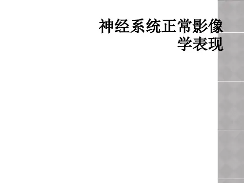 神经系统正常影像学表现