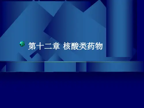 核酸类药物课件