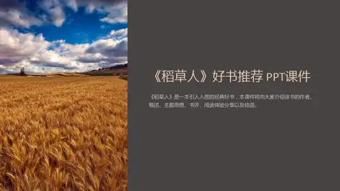 《稻草人》好书 课件