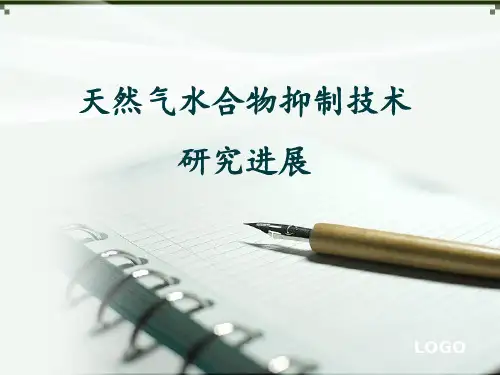 天然气水合物抑制剂专题汇报剖析