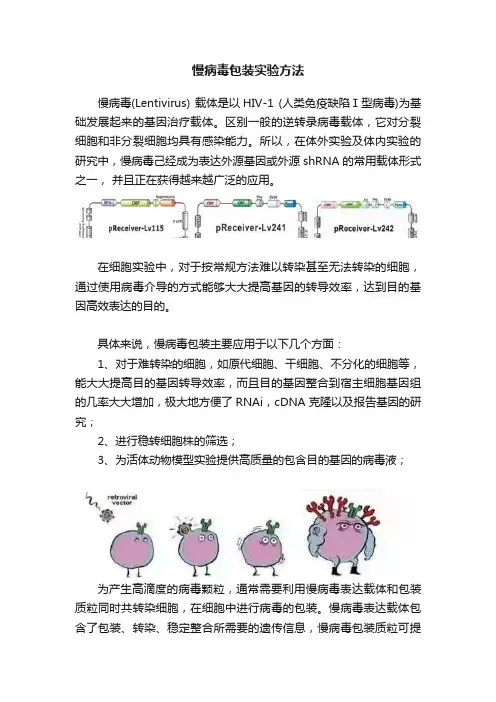 慢病毒包装实验方法