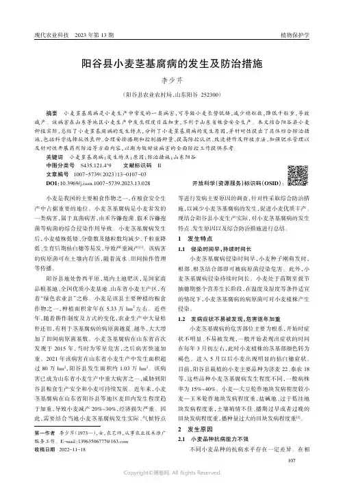 阳谷县小麦茎基腐病的发生及防治措施