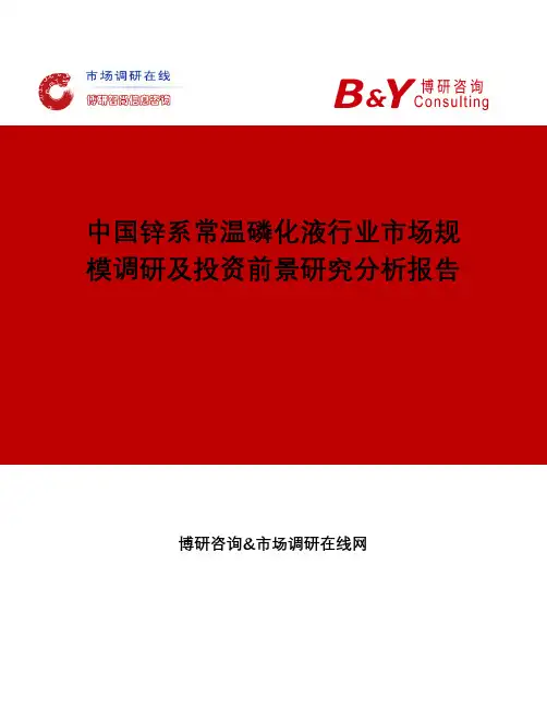 中国锌系常温磷化液行业市场规模调研及投资前景研究分析报告