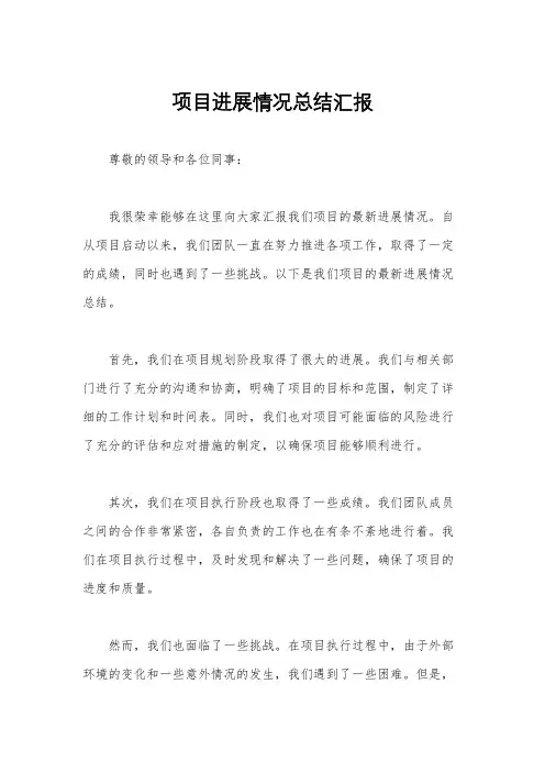项目进展情况总结汇报