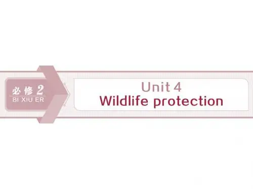 2020新高考英语一轮浙江专用必修2   Unit 4 Wildlife protection