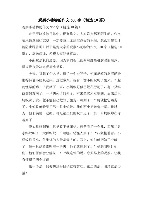 观察小动物的作文300字(10篇)