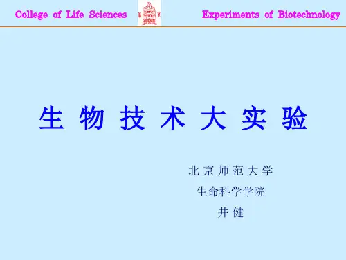 生物技术大实验
