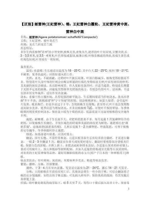 [区别]姬雷神(王妃雷神) 锦 王妃雷神白覆轮 王妃雷神黄中斑 雷神白中斑