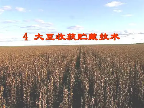 大豆收获贮藏技术