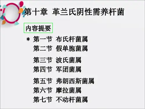 革兰氏阴性需氧杆菌
