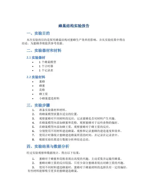 蜂巢结构实验报告