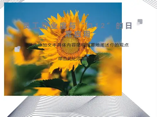 员工敬业度与q12的日常应用