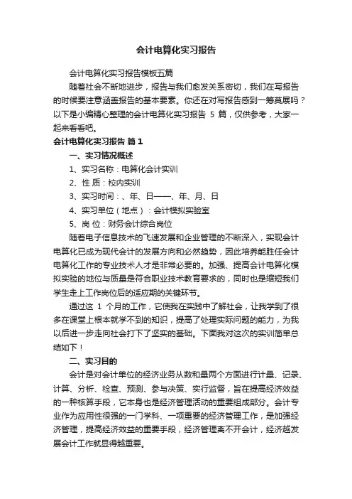 会计电算化实习报告