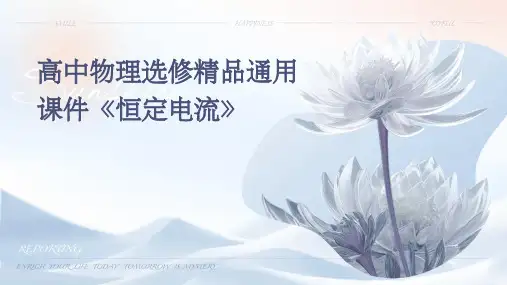 高中物理选修精品通用课件《恒定电流》