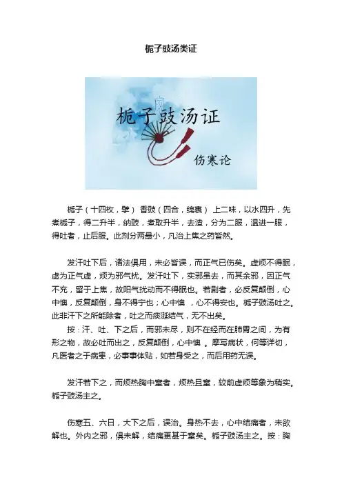 栀子豉汤类证