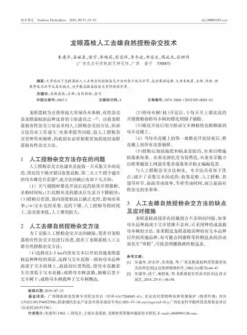 龙眼荔枝人工去雄自然授粉杂交技术