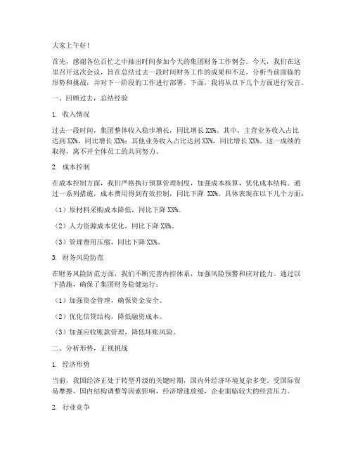 集团财务工作例会发言稿